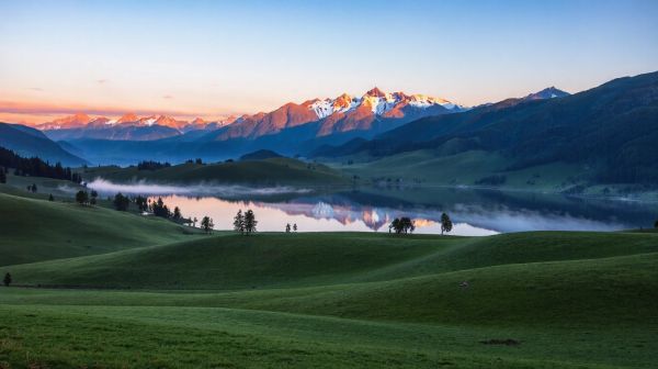 Guide ultime sur les services de curateur en Suisse