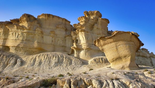 Quelles sont les meilleures pratiques pour la gestion de patrimoine intergénérationnelle ?